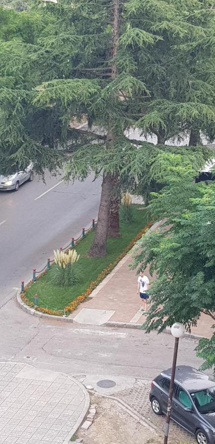 Apartman Na Najboljoj Lokaciji , Nedaleko Od Plaze Bar Exterior foto